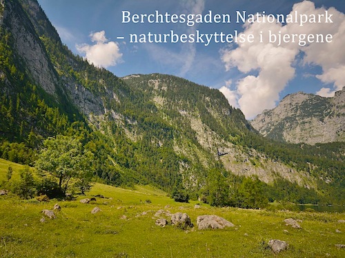 Berchtesgaden Nationalpark – naturbeskyttelse i bjergene