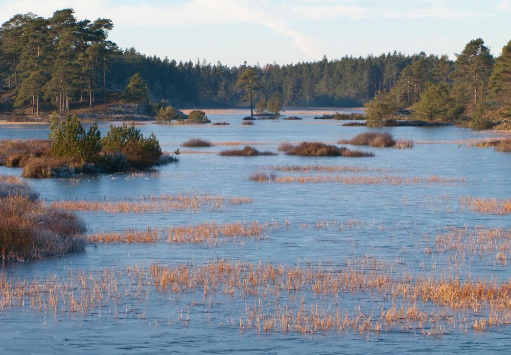 Syvårssøerne er en tilbagevendende landskabsbegivenhed – nogle år er de der, andre ikke (foto: Rune Engelbreth Larsen)