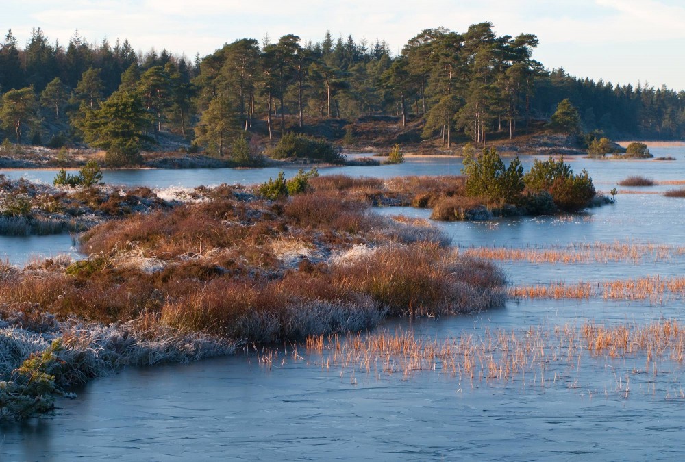 Syvårssøerne, Frederikshåb Plantage (foto: Rune Engelbreth Larsen)