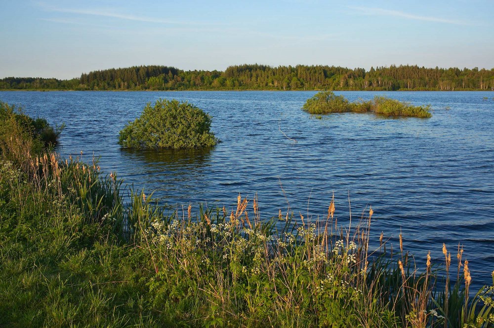 Bølling Sø, maj (foto: Rune Engelbreth Larsen)