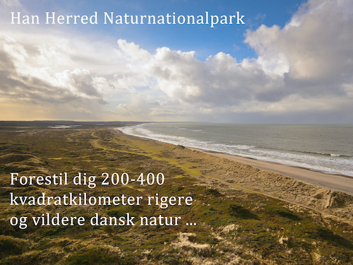 Naturnationalpark Han Herred – forestil dig 200-400 kvadratkilometer vildere dansk natur ...