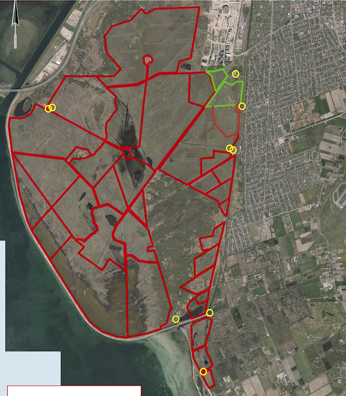 Naturnationalpark amager – forslag til vildere natur