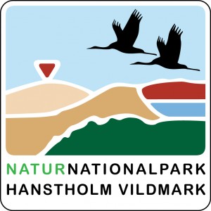 Potentielt logo for Naturnationalpark Hanstholm Vildmark