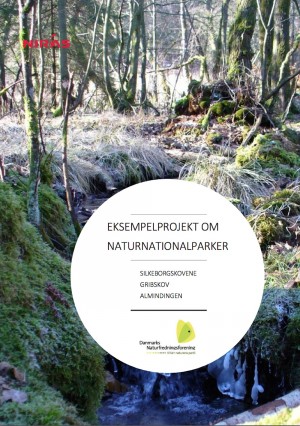 Konsulentfirmaet NIRAS' rapport med skitseprojekter til naturnationalparker i tre større skovområder, Silkeborgskovene, Gribskov og Almindingen