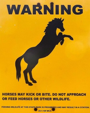 Warning: Horses may kick or bite. Do not approach or feed horses or other wildlife
