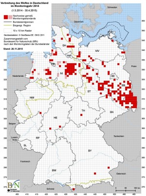 Udbredelsen af de tyske ulve. Kilde: Bundesamt für Naturschutz (Hrsg.). 2015. Wolfsvorkommen in Deutschland im Monitoringjahr 2014 (1.5.2014 – 30.4.2015)