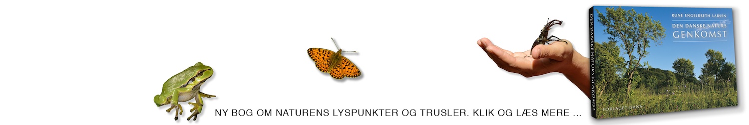 Ny bog af Rune Engelbreth Larsen: 'Den danske naturs genkomst' med masser af naturfotos – bestil eller læs mere om bogen her ...